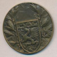 1875. Magyar Athlétikai Club Br díjérem T:2-