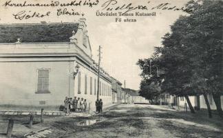 Temeskutas main street