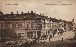 Eszék with synagogue