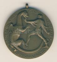 Ispánki József (1906-1992) DN "Budapest Székesfőváros Katonai Parancsnokság Budapest" bronz díjérem (50mm) T:2