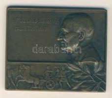 Liipola Yrjö (1881-1971) 1910. "Maywald Józsefnek" bronz emlékplakett (48x60mm) T:2