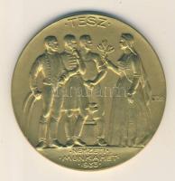 Berán Lajos: 1933. "TESZ-Nemzeti Munkahét" aranyozott Br emlékérem (61mm) T:2