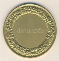 Berán Lajos: 1933. "TESZ-Nemzeti Munkahét" aranyozott Br emlékérem (61mm) T:2