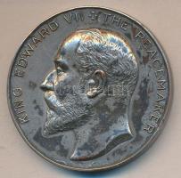 Nagy-Britannia - A. Wyon: 1906. "VII. Edward" ezüstözött Br emlékérem (51mm) T:2-
Great Br...