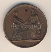 1847. "Szabad Királyi Sopron Városa A Magyar Orvosok és Természetvizsgálók VIII. Nagy Gyűlésére...