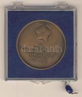 1979. "Magyar Tanácsköztársaság" matt Br emlékérem eredeti plombált műanyag ÁPV tokban T:1