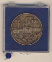 1979. "Magyar Tanácsköztársaság" matt Br emlékérem eredeti plombált műanyag ÁPV tokban T:1