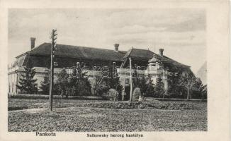 Pankota Sulkowksy castle