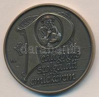 DN. "Pedagógus Szolgálati Emlékérem" Br érem T:1