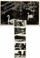 Görömbölytapolca leporellocard