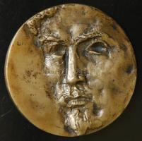 DN. Aszód "Itt kezdtem verseket csinálni, 1835-1838) Petőfi Sándor Br emlékérem (d=80mm) T:2