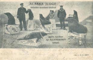 Alaska Judge seal show (b)
