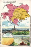 Austria-Hungary map litho