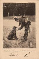 Military WWI German trained dog (EK)