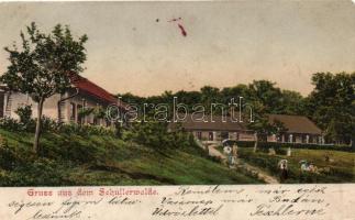 Beszterce Schullerwalde