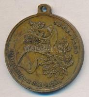 1898. "1848-1898 Szabadságharcunk Dicső Emlékére" Br emlékérem T:2-