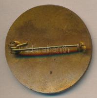 ˇ~1910. "Starjáni Aczélgyári Olv. Egyl. Dalkör" zománcozott kitűző (d=33mm) T:2