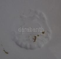 cca 1900 Kézzel festett mázas Hollóházi kerámia falitányér benyomott házas jelzéssel d: 24cm