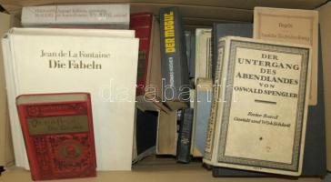 Hatalmas ládányi könyv hagyaték: körülbelül 100 db, felerészt német könyv a XIX. sz. második felétől az 1950-es évekig, sok szép kiadással, utazással, militáriával, általában jó állapotban / Large lot of books, half of it German with nice XIX. century bindings, military...