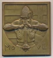 ~1920. M.O.V.E. Br szögletes plakett. Szign.: L.L. (50x46mm) T:2