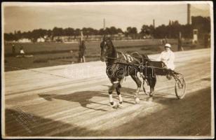 1925 Badeni ügetőverseny fotó / Baden Horse race photo 11x17 cm