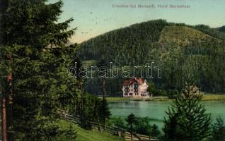 Erlaufsee Hotel Herrenhaus