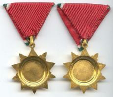 1970. "Felszabadulási Jubileumi Emlékérem" (2x) kitüntetés mellszalaggal T:1-