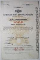 Temesvár 1904. Temesvári Első Takarékpénztár 4 1/2%-os záloglevele 1000K-ról, szelvényekkel