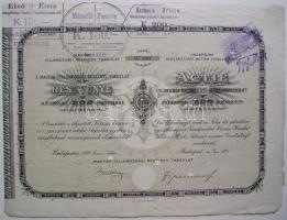 1893. A Magyar Villamossági Részvény-Társulat részvénye 20K-ról cseh felülbélyegzéssel és "visszafizetési részlet" bélyegzéssel