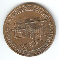 2009. 150 éves a Marczalvölgyi Vízitársulat Czelldömölk" öntött Br emlékérem (49mm) dísztokban ...