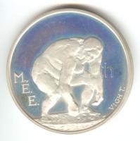 1990. "Száz éve született Ferenczy Béni / MÉE" Ag (0.835) emlékérem. Szign.: VIGHT T. (43m...