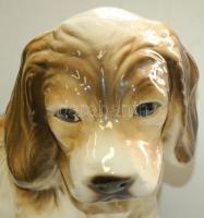 Nagyméretű jelzett porcelán kutya figura / Chinaware dog figure 35cm