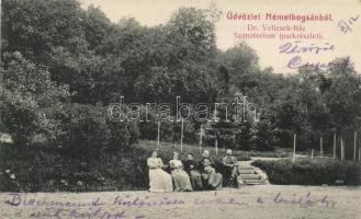 Németbogsán Velicsek sanatorium, park