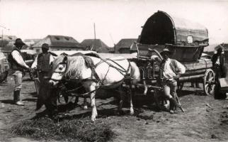 Sepsiszentgyörgy carriage, folklore, photo