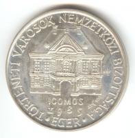 1985. "Történeti Városok Nemzetközi Bizottsága - Eger / Balassi Bálint" Ag (0.800) emlékérem. Szign.: BGY (43mm/34.1g) T:1-