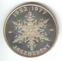 1977. "Jászberény / 25 éves a Hűtőgépgyár" emlékérem (43mm) T:PP