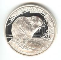 2000. 3000Ft Ag "Veszélyeztetett állatvilág-hód" T:PP Csak 7000db!