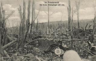 Military WWI Priesterwald war damage, an unexploded french ordnance