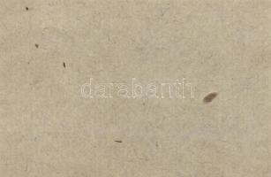 Hajmáskér/hadifogolytábor I.kiadás 1914. 1K (vágáshibás) + 2K pár T:I