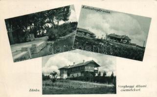 Zánka Katicabogár-villa, Szeghegyi állami csemetekert