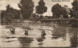 Stochod river, bathing horses