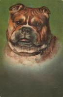 Dog litho (EB)