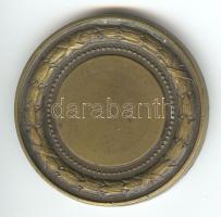 1921. "VIII. Ker. Közs. Főreáliskola 50 éves Fennállásának Emlékére" Br emlékérem(43mm) sz...