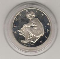 Modern emlékérem "Renoir" ezüst 15,5g, díszdobozban T:PP