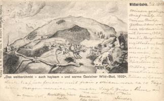 Bad Gastein, in 1692 (pinhole)