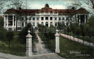 Karlovy Vary Elisabeth spa (wet damage)