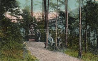 Trencsénteplic forest, hunters (Rb)