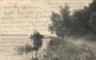 Dunaparti részlet (EB)