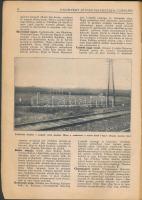 Ungváry József faiskolája  Czegléd-Budapest. Budapest, Andrássy út 54. 1983. 80 oldal képekkel térké...