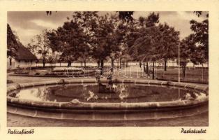 Palicsfürdő park (wet damage)